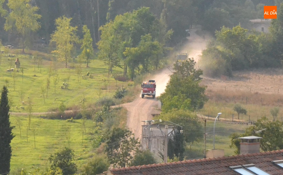 Declarado Un Incendio Forestal En El Camino Que Lleva Al Paraje