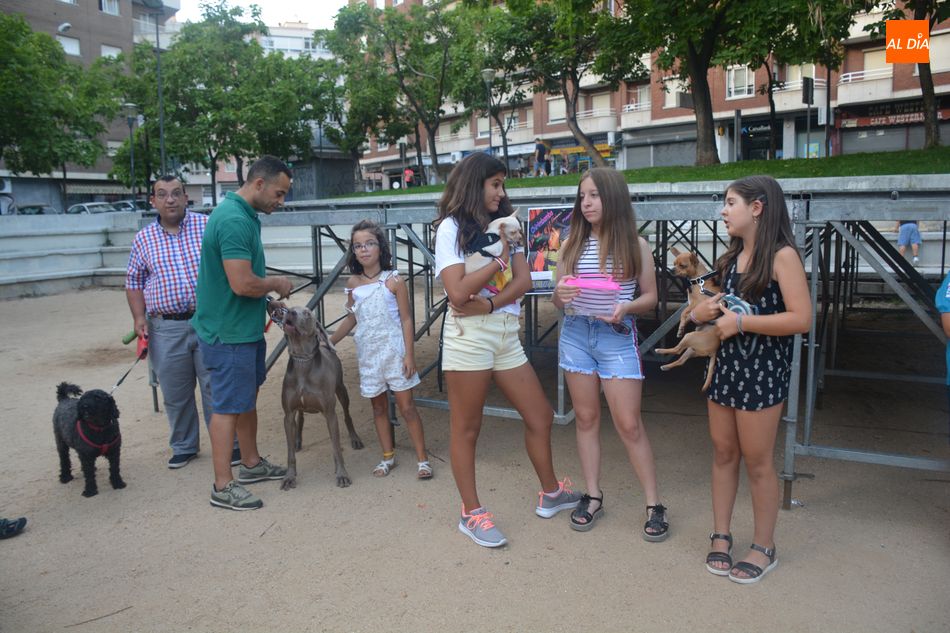 Pintacaras Y Concurso De Mascotas Gran Ambiente Festivo En Comuneros Y