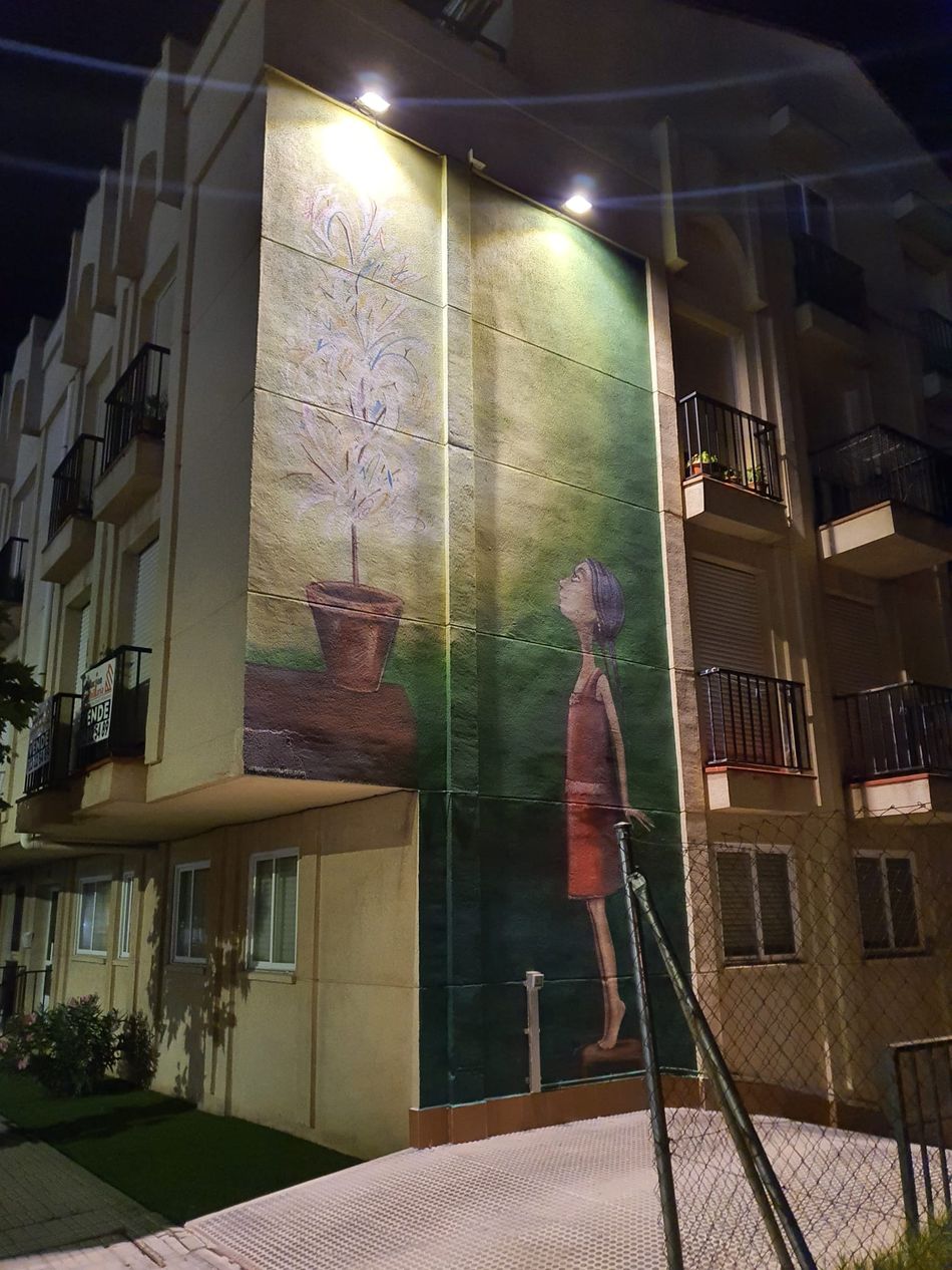 La iluminaci&oacute;n nocturna permite disfrutar otros cuatro murales art&iacute;sticos en Santa Marta | Imagen 1