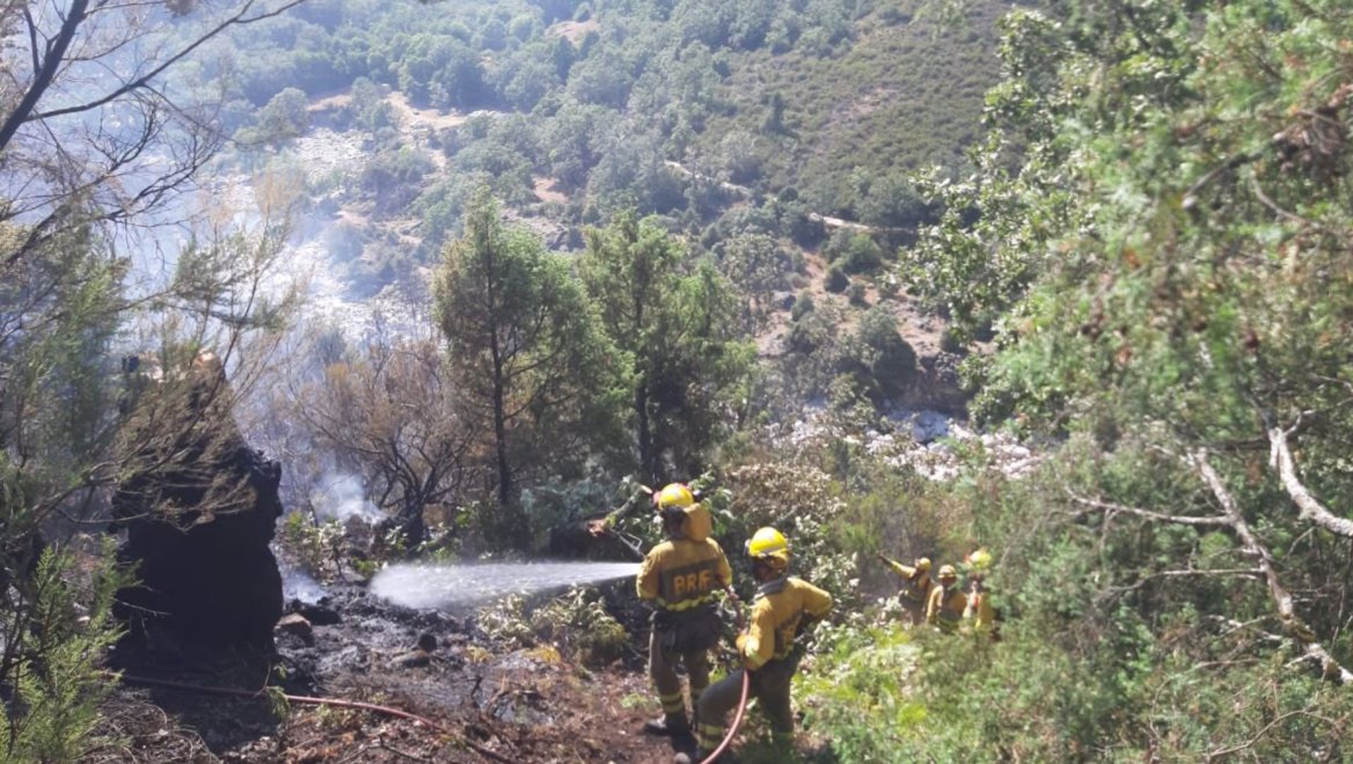 Numerosos efectivos trabajan en la extinción del incendio declarado en Candeleda