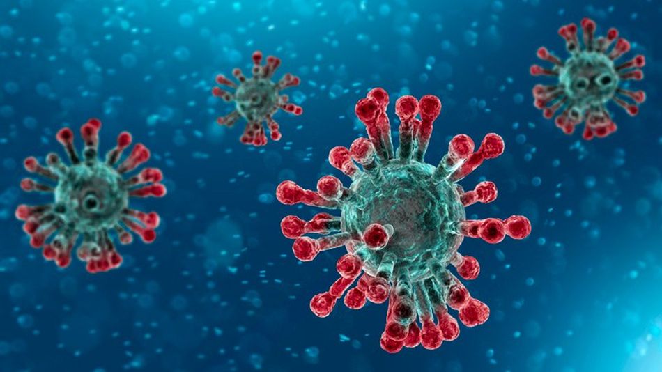 Foto 1 - Un estudio sobre las variantes predice que el coronavirus evoluciona para escapar a las actuales...