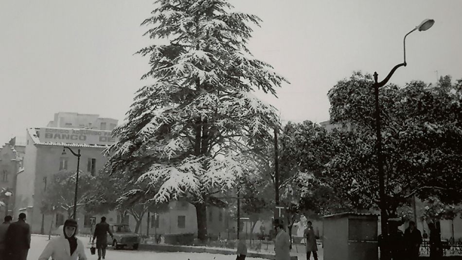 Foto 1 - La plaza de los Bandos nevada  