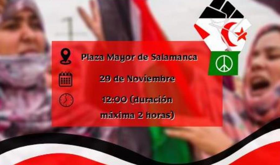 Foto 1 - La Plaza Mayor acogerá una concentración a favor del Pueblo Saharaui 