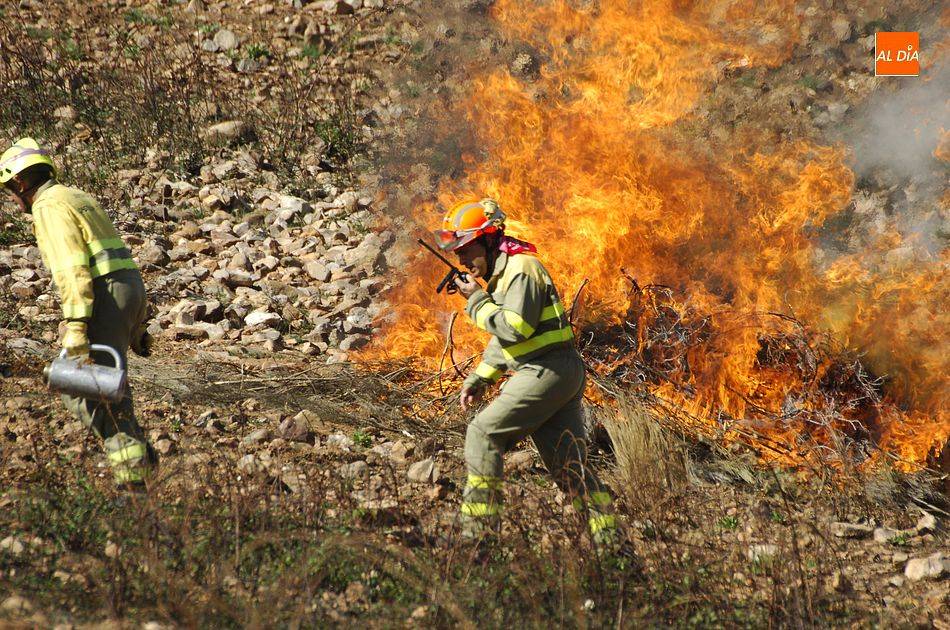 Foto 1 - El fuego ha arrasado más de 21.000 hectáreas en todo el país hasta el 26 de junio, un 62% menos...