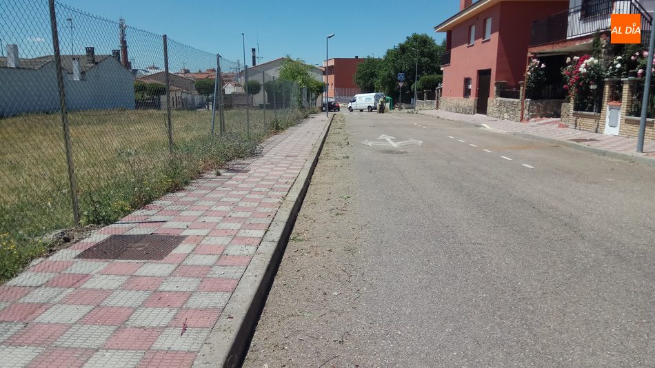 Foto 4 - Empleados del Ayuntamiento de Vitigudino inician la campaña de limpieza arbustiva de las calles  