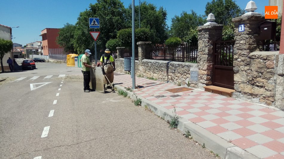 Foto 3 - Empleados del Ayuntamiento de Vitigudino inician la campaña de limpieza arbustiva de las calles  