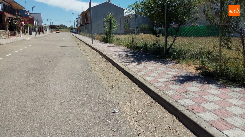 Foto 2 - Empleados del Ayuntamiento de Vitigudino inician la campaña de limpieza arbustiva de las calles  