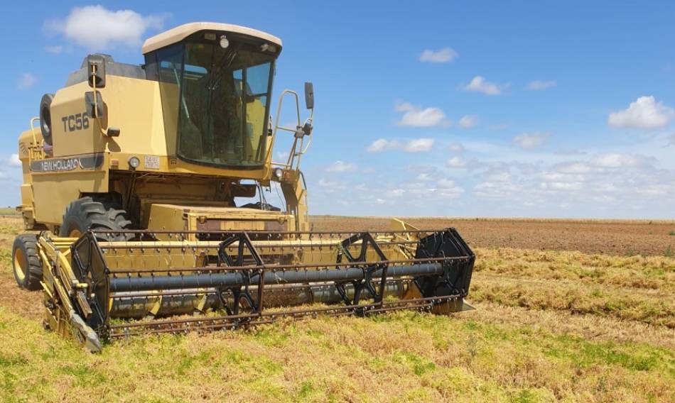 Desde la Consejería de Agricultura, Ganadería y Desarrollo Rural han destacado que los datos de la producción agraria de 2020 confirman la tendencia al alza registrada en los últimos años