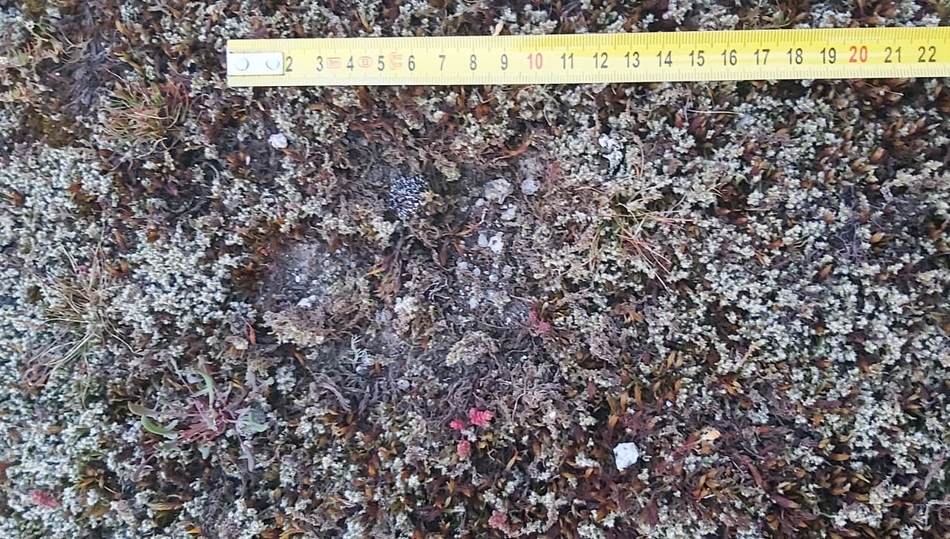 La huella hallada en el lugar del ataque registrado en Saldeana mide 10 cm