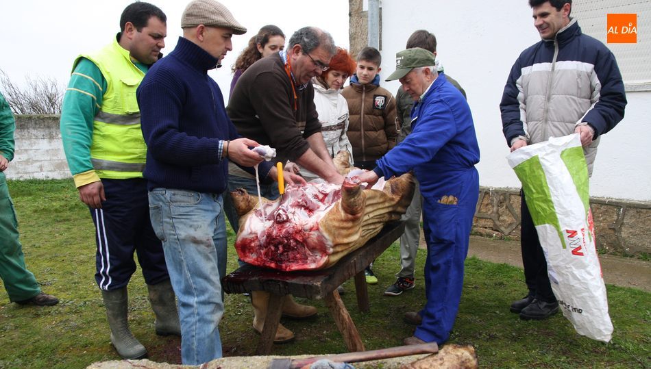 Antes de las degustaciones, el público podrá observar el proceso matancero desde el chamuscado al despiece de las carnes / CORRAL