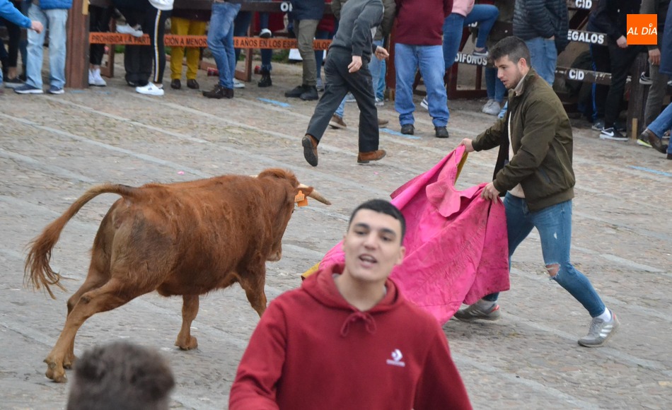 Foto 4 - El Domingo de Piñata recupera con gran éxito de público la capea de vaquillas  