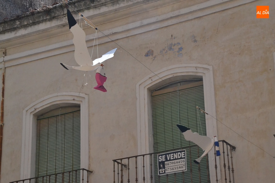 Foto 6 - 1Foto: Regresan las gaviotas a la calle Madrid... y con capturas  