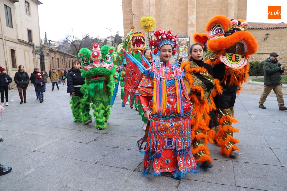 Foto 5 - La cultura china invade Salamanca con un nuevo pasacalles lleno de color