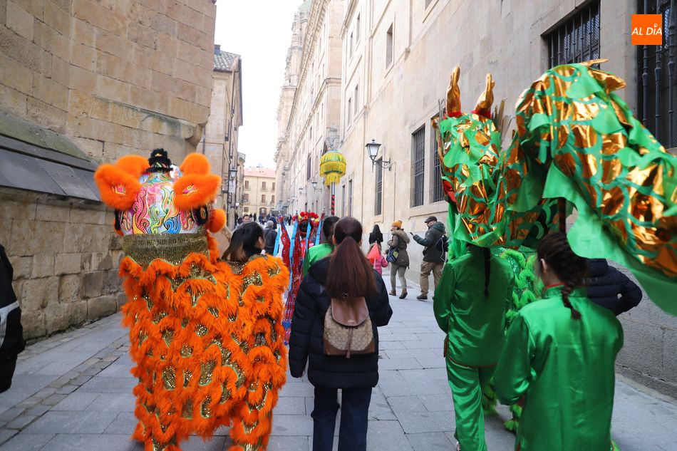 Foto 6 - La cultura china invade Salamanca con un nuevo pasacalles lleno de color