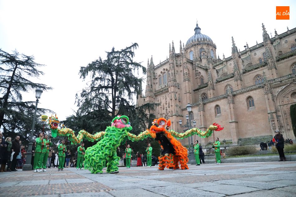 Foto 5 - El Año Nuevo Chino inunda Salamanca de colorido con un original pasacalles  