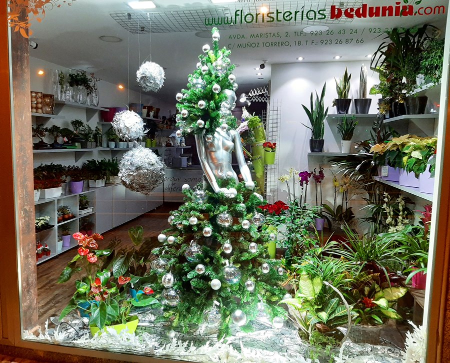 Foto 6 - Zap-Zap y Floristería Bedunia, comercios ganadores del Concurso de Escaparates de Navidad   