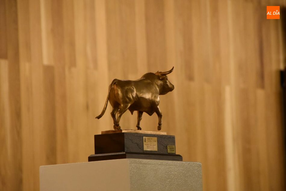 Foto 2 - ‘Barquito’, de la ganadería Garcigrande, recibe el premio Toro de Oro de la Junta de Castilla ...