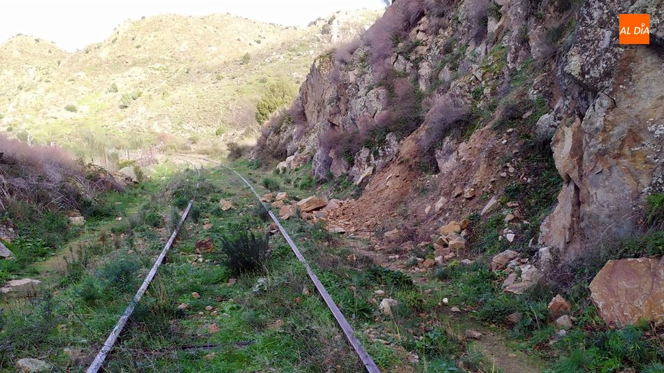 Foto 4 - El temporal provoca derrumbes de piedras y árboles en la vía del Camino de Hierro