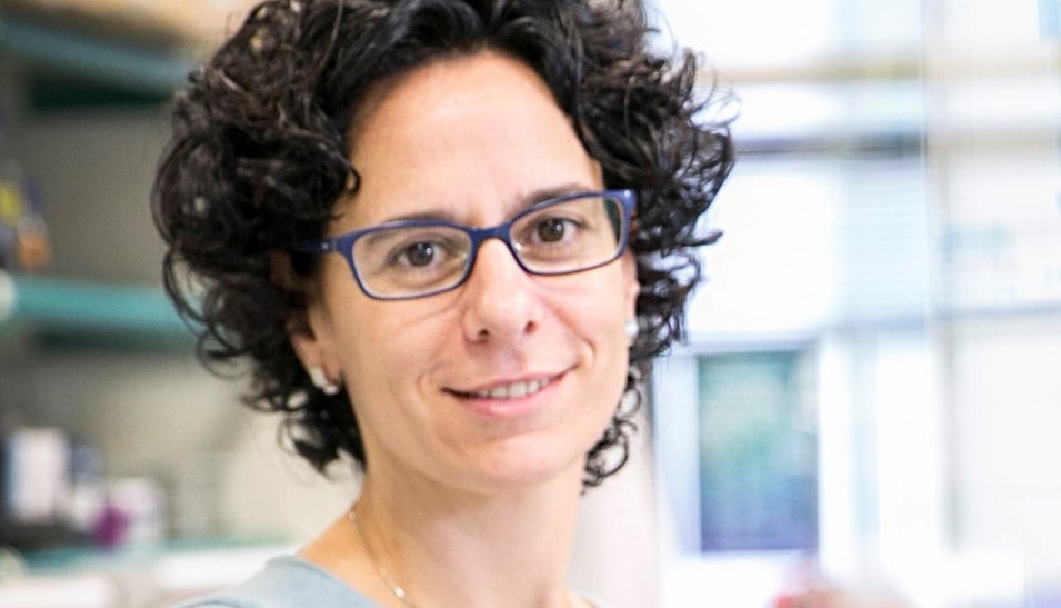 Núria López-Bigas, doctora en Biología por la Universidad de Barcelona