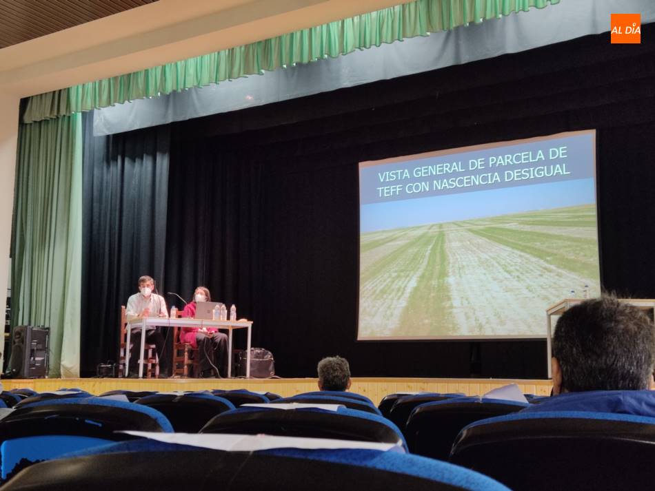 Foto 2 - Agricultores conocen en Villoria nuevas alternativas como el teff  