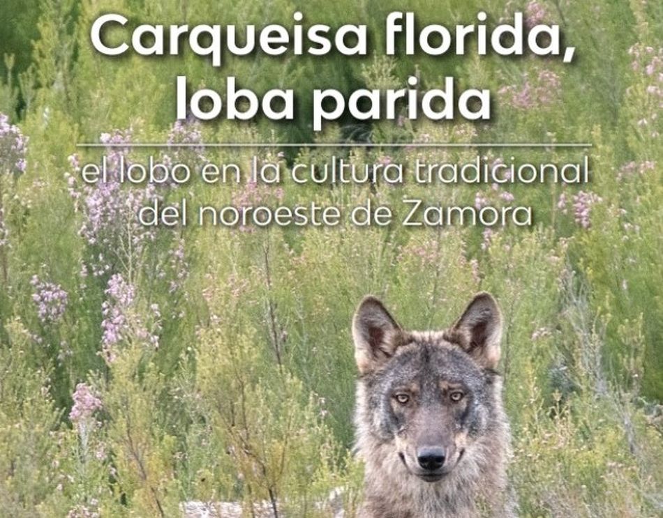 Foto 2 - Salamanca acoge la presentación del libro 'Carqueisa florida, loba parida'