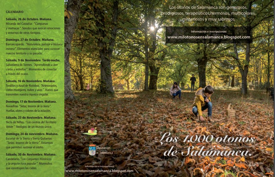 Foto 2 - ‘Los 1.000 otoños de Salamanca’ propone ocho nuevas actividades para conocer los valores de la ...