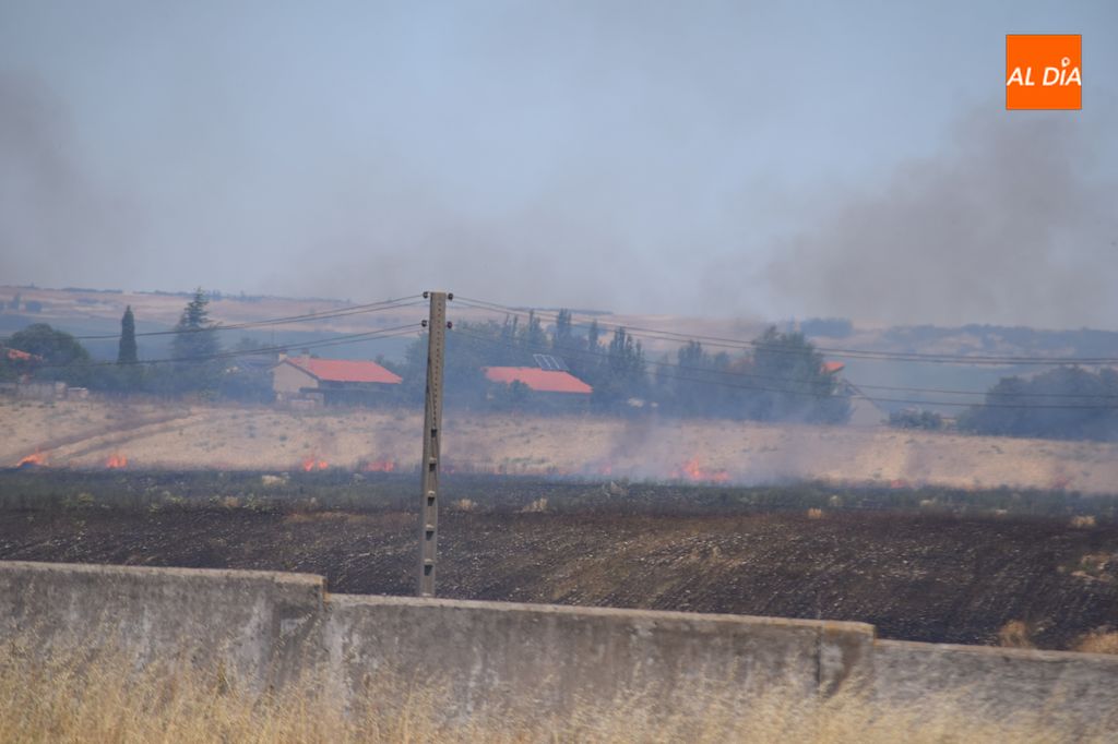 Foto 6 - Gran incendio en una tierra anexa a la urbanización Los Cisnes