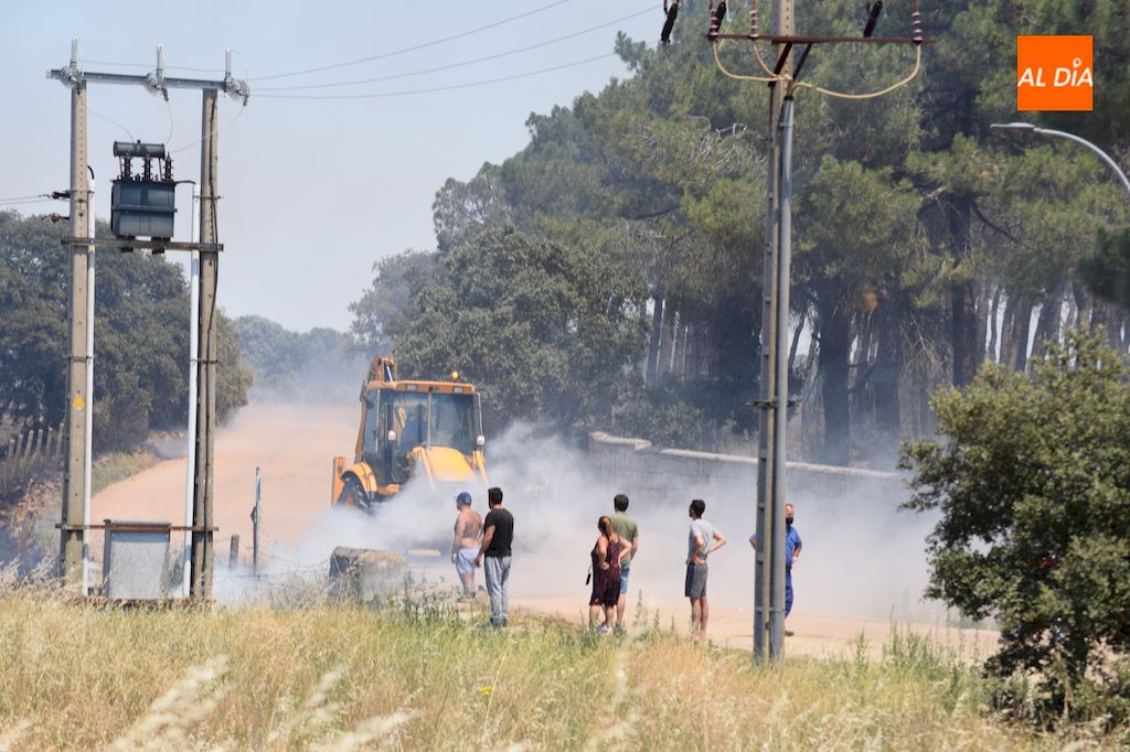 Foto 5 - Gran incendio en una tierra anexa a la urbanización Los Cisnes