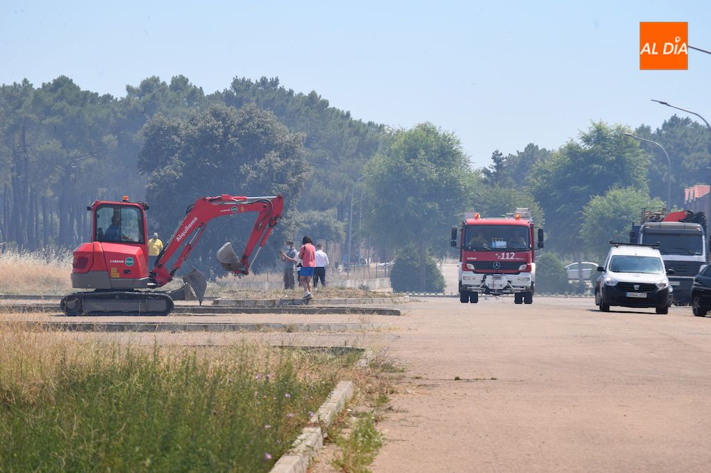 Foto 4 - Gran incendio en una tierra anexa a la urbanización Los Cisnes