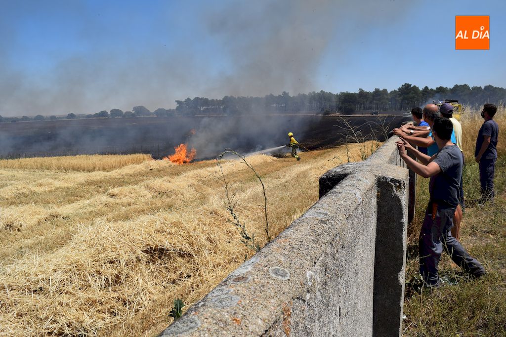 Vecinos de la urbanización Los Cisnes observan apagar las llamas a los bomberos / Pedro Zaballos