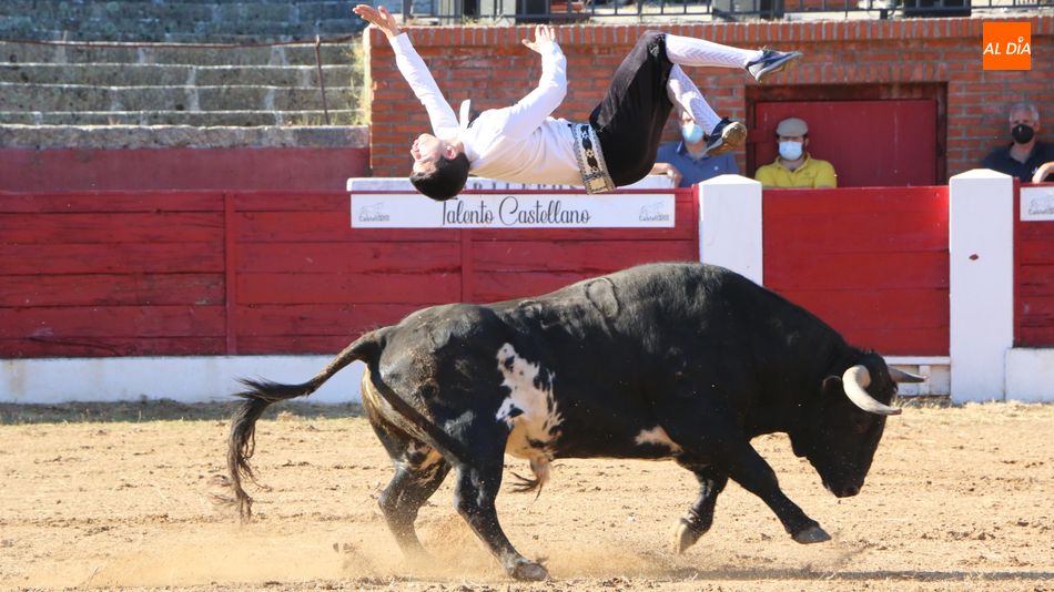 El festejo trendrá lugar el sábado 24 de julio en la plaza de toros de Masueco / CORRAL