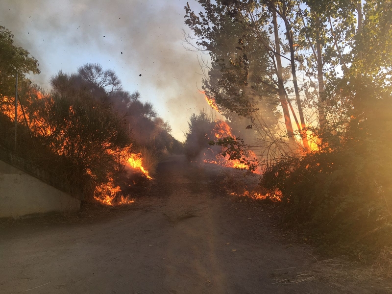Extinguido un incendio en la zona de las Huertas de la Artesa  