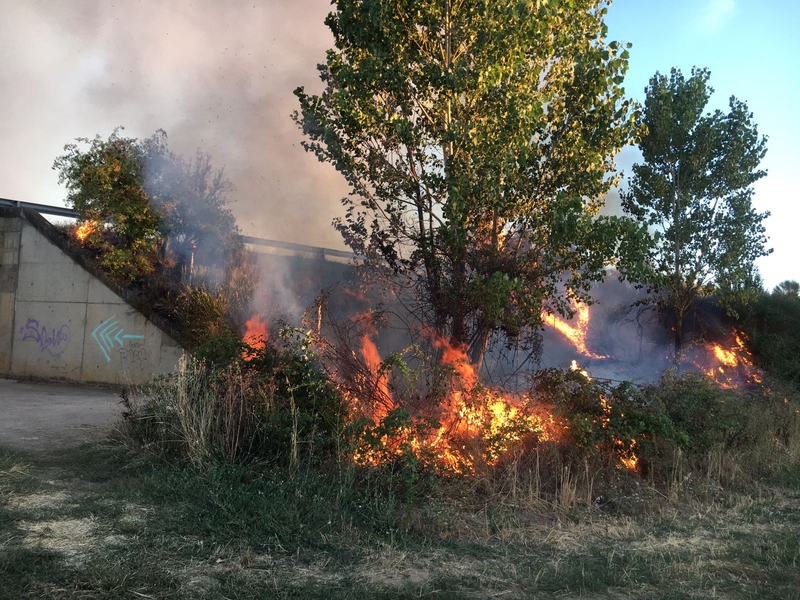 Foto 2 - Extinguido un incendio en la zona de las Huertas de la Artesa  