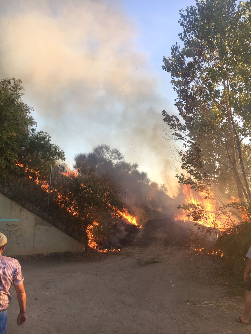 Foto 5 - Extinguido un incendio en la zona de las Huertas de la Artesa  