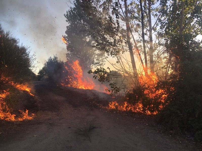Foto 6 - Extinguido un incendio en la zona de las Huertas de la Artesa  