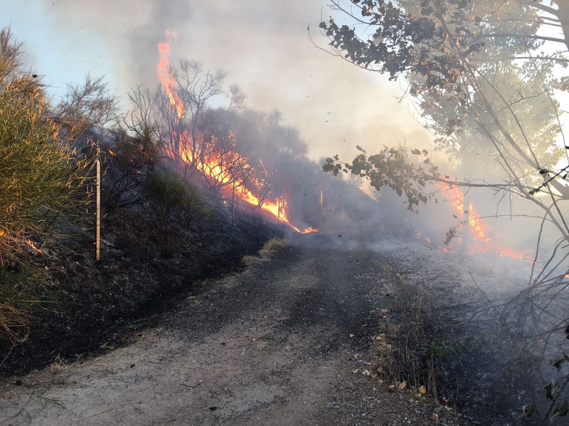 Foto 3 - Extinguido un incendio en la zona de las Huertas de la Artesa  