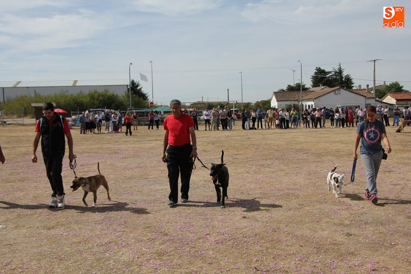 Foto 3 - Villar de Peralonso prepara su III Feria de Artesanía y Alimentación, y la III Feria Canina