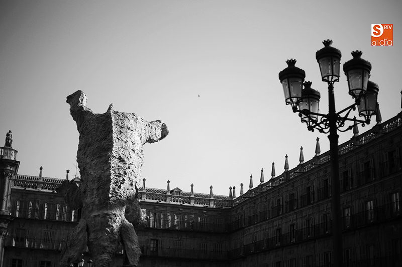 Foto 5 - ‘El elefante’ de Miquel Barceló regresa a la Plaza Mayor