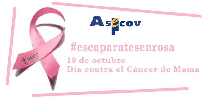 Foto 1 - Los comercios pondrán sus escaparates en rosa contra el cáncer de mama  