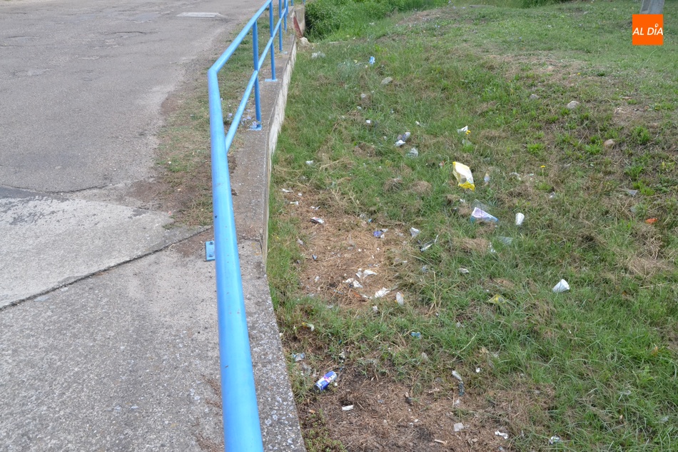 M&uacute;ltiples restos de basura afean el Parque del Regato Cach&oacute;n y su entorno