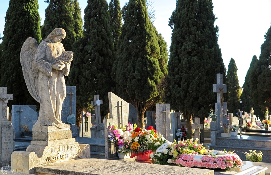 Cementerio de Salamanca capital. Foto de Manuel Lamas
