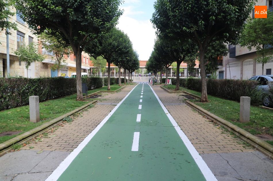 Foto 2 - La transformación de la avenida de París en un bulevar peatonal estará terminada en febrero
