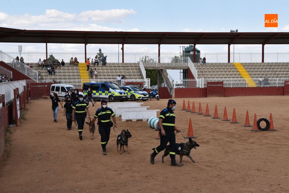 Foto 6 - Salamaq acoge una exhibición de la Unidad Canina de la Policía Local y el proyecto ‘VioCan’