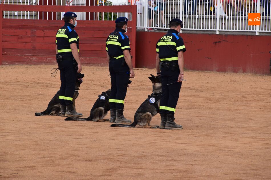 Foto 4 - Salamaq acoge una exhibición de la Unidad Canina de la Policía Local y el proyecto ‘VioCan’