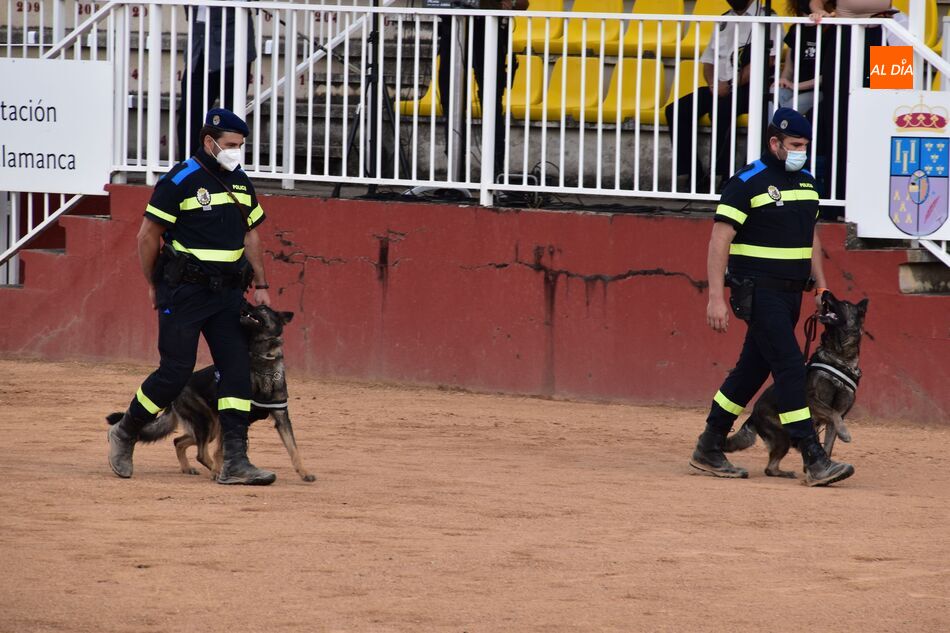 Foto 2 - Salamaq acoge una exhibición de la Unidad Canina de la Policía Local y el proyecto ‘VioCan’