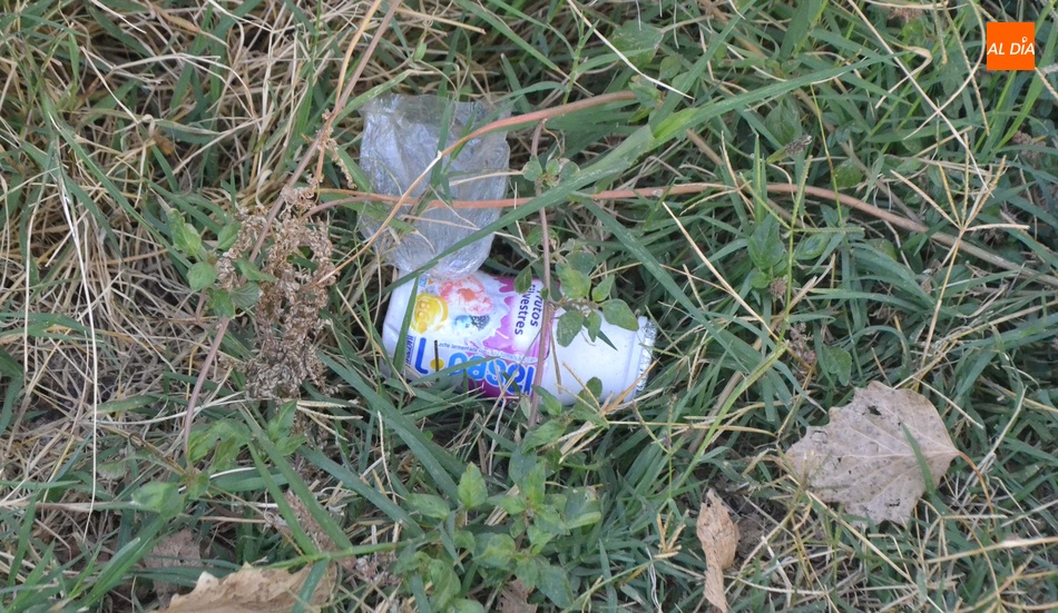 Foto 5 - Múltiples restos de basura afean el Parque del Regato Cachón y su entorno