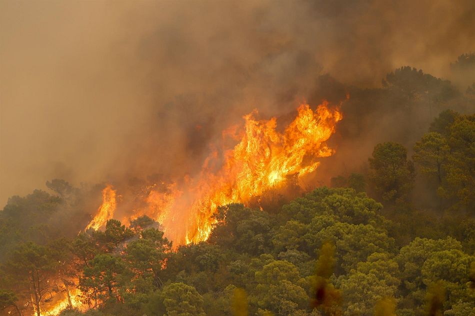 Imagen del incendio de Sierra Bermeja - Álex Zea - Europa Press
