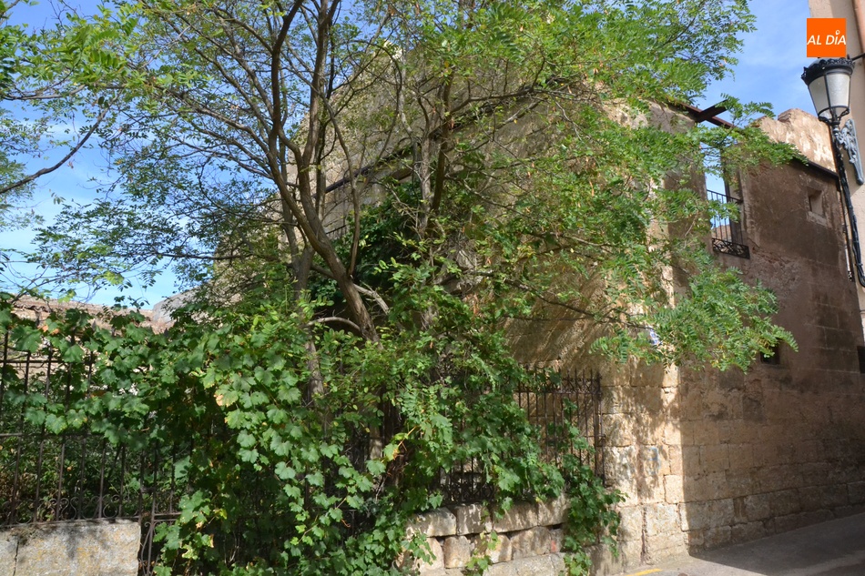 Foto 5 - Añadida a la Lista Roja del Patrimonio la Casa de la Cofradía de Santa Cruz y Santa Elena de Miróbriga