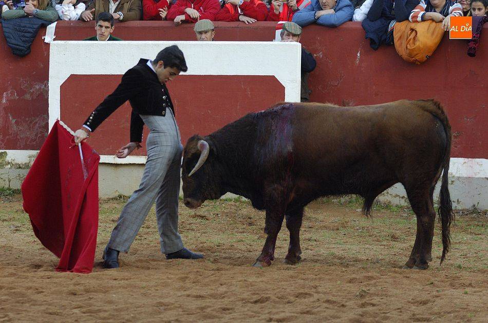 Foto 1 - Desveladas las ganaderías que aportarán animales a las tientas del Bolsín Taurino 2022