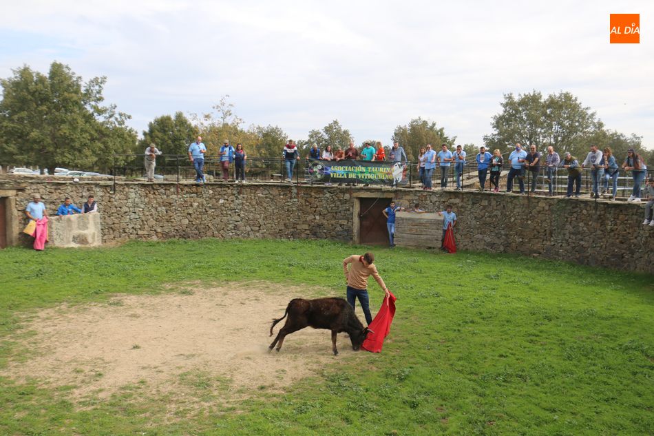 Foto 2 - La Asociación Cultural Taurina de Vitigudino celebra su fiesta anual junto a los toros de Orive